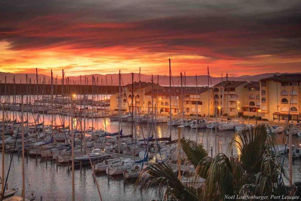 Les Voiles Blanches T2 Luxe A 100M De La Plage Leucate Eksteriør billede
